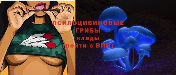 прущие крисы Аркадак