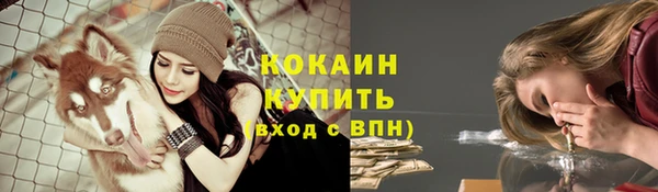 прущие крисы Аркадак