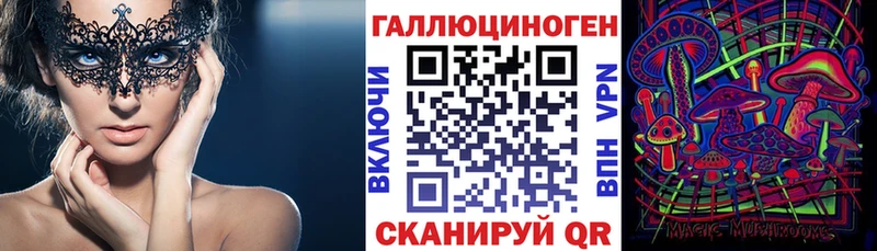 Псилоцибиновые грибы Psilocybine cubensis  как найти   Черняховск 